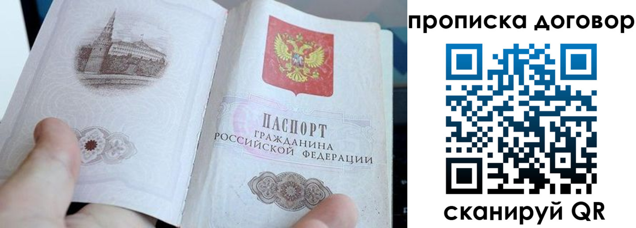 прописка в Пересвете